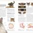 The Cat Encyclopedia - thumbnail of spread image 1 Thumbnail image of The Cat Encyclopedia - 1