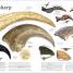 The Dinosaur Book - thumbnail of spread image 1 Thumbnail image of The Dinosaur Book - 1