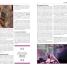 El Libro de Shakespeare - thumbnail of spread image 1 Thumbnail image of El Libro de Shakespeare - 1
