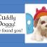 Baby Hide and Seek! - thumbnail of spread image 1 Thumbnail image of Baby Hide and Seek! - 1