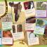 Eye Wonder: Horses and Ponies - thumbnail of spread image 1 Thumbnail image of Eye Wonder: Horses and Ponies - 1