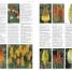 RHS A-Z Encyclopedia of Garden Plants 4th edition - thumbnail of spread image 1 Thumbnail image of RHS A-Z Encyclopedia of Garden Plants 4th edition - 1