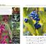 RHS How to Grow Practically Everything - thumbnail of spread image 1 Thumbnail image of RHS How to Grow Practically Everything - 1