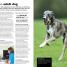 Complete Dog Care - thumbnail of spread image 1 Thumbnail image of Complete Dog Care - 1