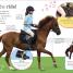The Everything Book of Horses and Ponies - thumbnail of spread image 1 Thumbnail image of The Everything Book of Horses and Ponies - 1
