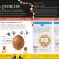 Are You What You Eat? - thumbnail of spread image 1 Thumbnail image of Are You What You Eat? - 1