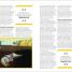 The Psychology Book - thumbnail of spread image 1 Thumbnail image of The Psychology Book - 1
