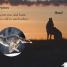 DK Readers L0: Nighttime Animals - thumbnail of spread image 1 Thumbnail image of DK Readers L0: Nighttime Animals - 1