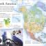 The New Children's Encyclopedia - thumbnail of spread image 1 Thumbnail image of The New Children's Encyclopedia - 1