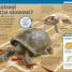 It Can't Be True! Animals! - thumbnail of spread image 1 Thumbnail image of It Can't Be True! Animals! - 1