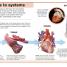 Pocket Genius: Human Body - thumbnail of spread image 1 Thumbnail image of Pocket Genius: Human Body - 1