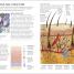 The Concise Human Body Book - thumbnail of spread image 1 Thumbnail image of The Concise Human Body Book - 1