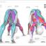 Science Of Yoga - thumbnail of spread image 1 Thumbnail image of Science Of Yoga - 1