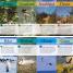 Everything You Need to Know About Birds - thumbnail of spread image 1 Thumbnail image of Everything You Need to Know About Birds - 1