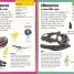 Sticker Encyclopedia Dinosaurs - thumbnail of spread image 1 Thumbnail image of Sticker Encyclopedia Dinosaurs - 1