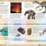 Prehistoric Life - thumbnail of spread image 1 Thumbnail image of Prehistoric Life - 1