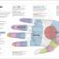 Medical Symptoms: A Visual Guide - thumbnail of spread image 1 Thumbnail image of Medical Symptoms: A Visual Guide - 1