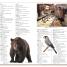 Merriam-Webster Children's Dictionary - thumbnail of spread image 1 Thumbnail image of Merriam-Webster Children's Dictionary - 1