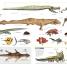 Star Wars: The Visual Encyclopedia - thumbnail of spread image 1 Thumbnail image of Star Wars: The Visual Encyclopedia - 1