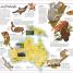 The Animal Atlas - thumbnail of spread image 1 Thumbnail image of The Animal Atlas - 1