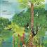 RHS The Magic and Mystery of Trees - thumbnail of spread image 1 Thumbnail image of RHS The Magic and Mystery of Trees - 1