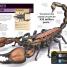 Super Bug Encyclopedia - thumbnail of spread image 1 Thumbnail image of Super Bug Encyclopedia - 1