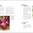 Veg in One Bed - thumbnail of spread image 1 Thumbnail image of Veg in One Bed - 1