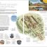 DK Eyewitness Thailand - thumbnail of spread image 1 Thumbnail image of DK Eyewitness Thailand - 1