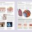 The Human Body Book - thumbnail of spread image 1 Thumbnail image of The Human Body Book - 1