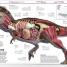 Knowledge Encyclopedia - thumbnail of spread image 1 Thumbnail image of Knowledge Encyclopedia - 1
