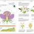 How to Be Good at Science, Technology, and Engineering - thumbnail of spread image 2 Thumbnail image of How to Be Good at Science, Technology, and Engineering - 2