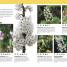The Bee Book - thumbnail of spread image 1 Thumbnail image of The Bee Book - 1