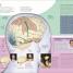 The Human Brain Book - thumbnail of spread image 1 Thumbnail image of The Human Brain Book - 1