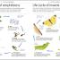 How to Be Good at Science, Technology, and Engineering - thumbnail of spread image 1 Thumbnail image of How to Be Good at Science, Technology, and Engineering - 1