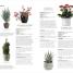 RHS Practical House Plant Book - thumbnail of spread image 1 Thumbnail image of RHS Practical House Plant Book - 1