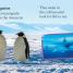 DK Readers L1 Frozen Worlds - thumbnail of spread image 1 Thumbnail image of DK Readers L1 Frozen Worlds - 1