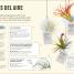 Cómo No Matar tus Plantas - thumbnail of spread image 1 Thumbnail image of Cómo No Matar tus Plantas - 1