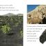 DK Readers L2: Eruption!: The Story of Volcanoes - thumbnail of spread image 1 Thumbnail image of DK Readers L2: Eruption!: The Story of Volcanoes - 1