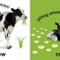 Baby Touch and Feel Farm Animals - thumbnail of spread image 1 Thumbnail image of Baby Touch and Feel Farm Animals - 1