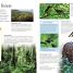 Geography A Children's Encyclopedia - thumbnail of spread image 1 Thumbnail image of Geography A Children's Encyclopedia - 1