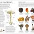 Mushrooms - thumbnail of spread image 1 Thumbnail image of Mushrooms - 1