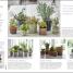 Practical Cactus and Succulent Book - thumbnail of spread image 1 Thumbnail image of Practical Cactus and Succulent Book - 1