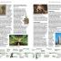 DK Eyewitness Travel Guide Chicago - thumbnail of spread image 1 Thumbnail image of DK Eyewitness Travel Guide Chicago - 1