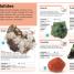 Pocket Genius: Rocks and Minerals - thumbnail of spread image 1 Thumbnail image of Pocket Genius: Rocks and Minerals - 1