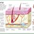 My Amazing Body Machine - thumbnail of spread image 1 Thumbnail image of My Amazing Body Machine - 1