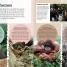 DKfindout! Forest - thumbnail of spread image 1 Thumbnail image of DKfindout! Forest - 1