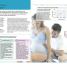 The Pregnancy Encyclopedia - thumbnail of spread image 1 Thumbnail image of The Pregnancy Encyclopedia - 1