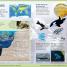 First Earth Encyclopedia - thumbnail of spread image 2 Thumbnail image of First Earth Encyclopedia - 2