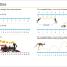 First Maths Glossary - thumbnail of spread image 1 Thumbnail image of First Maths Glossary - 1