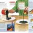 Rock & Fossil Hunter - thumbnail of spread image 1 Thumbnail image of Rock & Fossil Hunter - 1